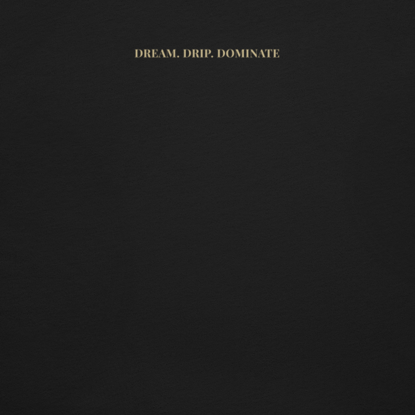 Passenger Princess Joyride Tshirt